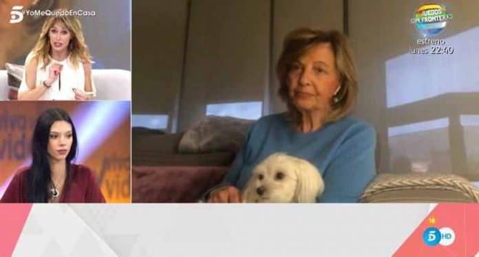 teresa campos perro calla a gabriela arrocet