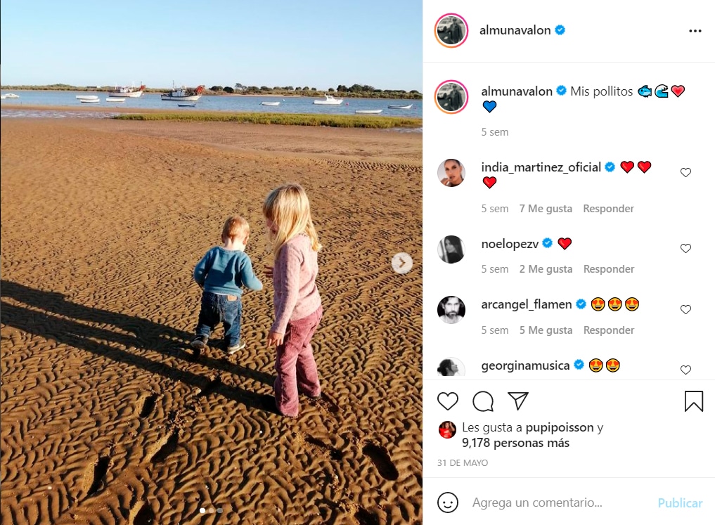 Capotura Instagram hijos Almudena Navalon