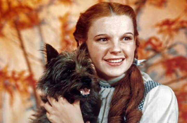 Judy Garland Mago de Oz