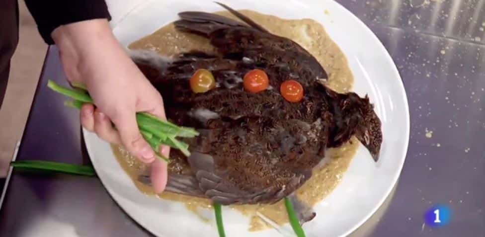 Saray MasterChef Plato 'Pajaro muerto en lo alto de un plato'