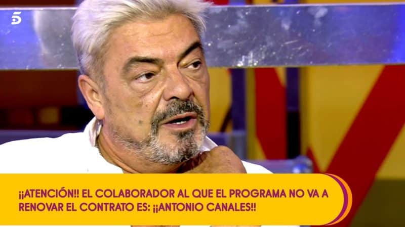 antonio canales salvame despido