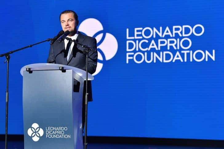 fundacion leonardo dicaprio