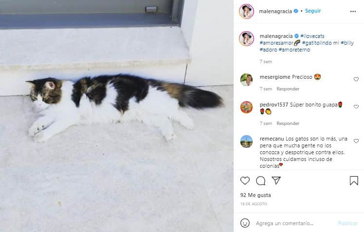 Captura Instagram Gato Malena Gracia
