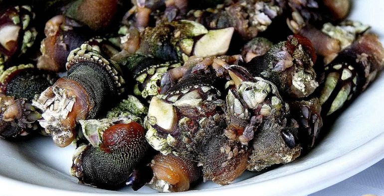 Navidad: estos son los alimentos que debes de comprar antes de que alcancen un precio desorbitado