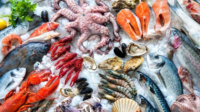 Los cinco pescados más saludables que no tienen que faltar en tu dieta