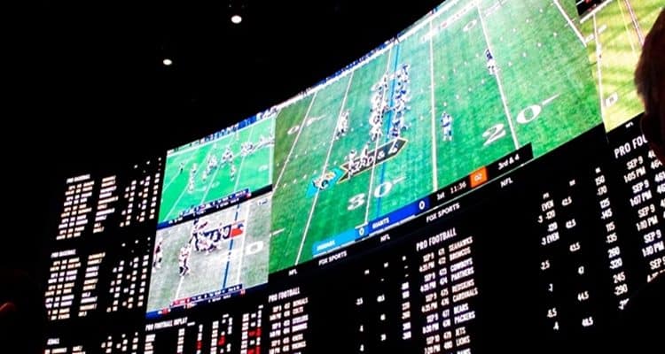 Curiosidades de las apuestas deportivas que definitivamente tienes que saber