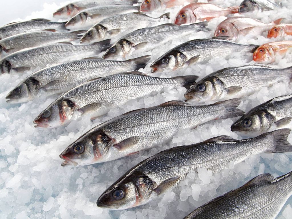 Los cinco pescados más saludables que no tienen que faltar en tu dieta