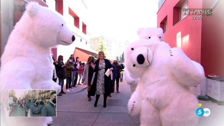 Sálvame: El oso ‘perjudicado’ y la viral cabalgata de Cádiz se cuelan en el programa