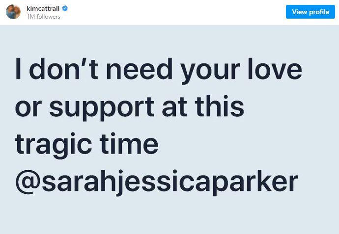 Kim Cattrall Sarah Jessica Parker - Mensaje odio Instagram