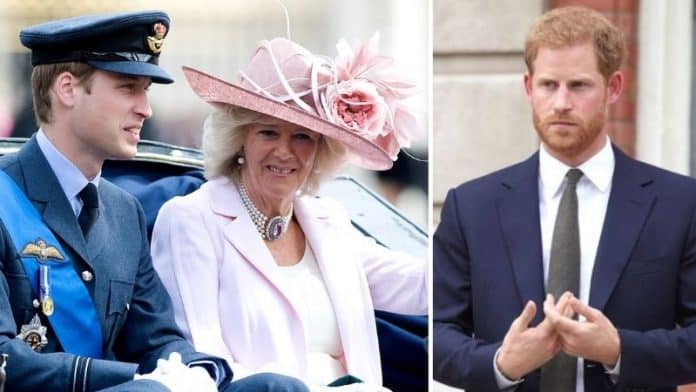 Príncipe William - Camilla Parker Bowles - Príncipe Harry