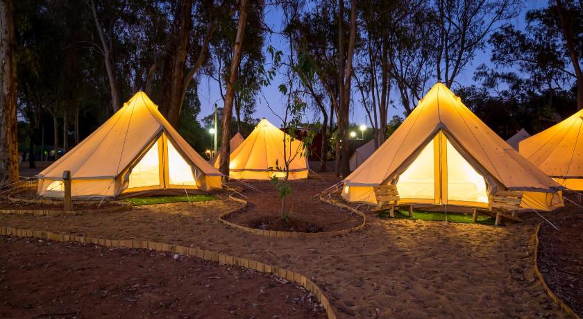 camping