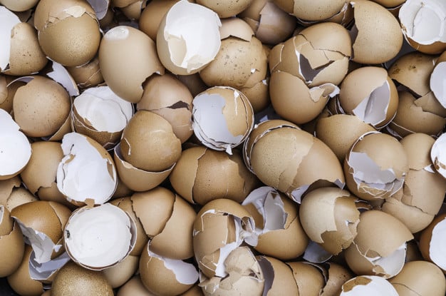 Usos desconocidos que le puedes dar a la cáscara de los huevos