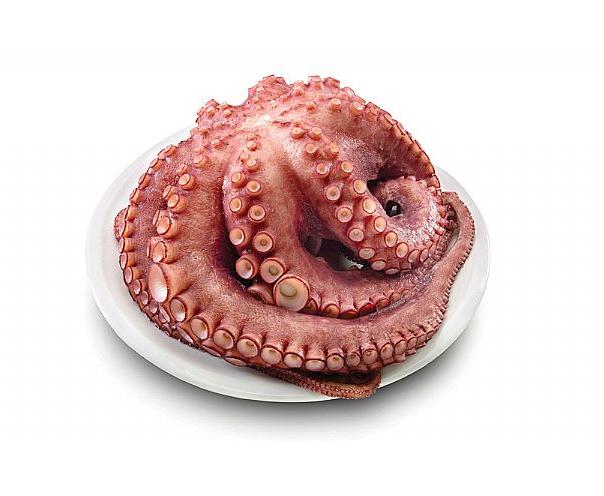 pulpo