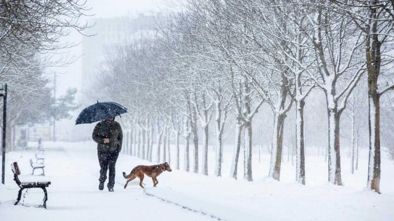 Nueva borrasca: ¿Dónde va a nevar en España esta semana?