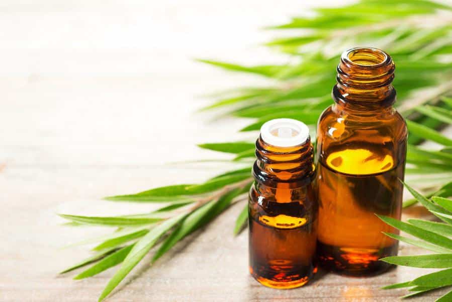 Trata las partes afectadas con aceite de árbol de té