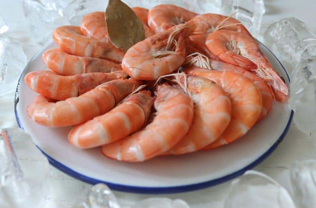 Langostinos: prueba esta ensalada y no los volverás a tomar con mayonesa langostinos
