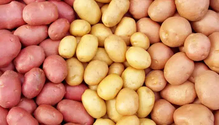 patatas