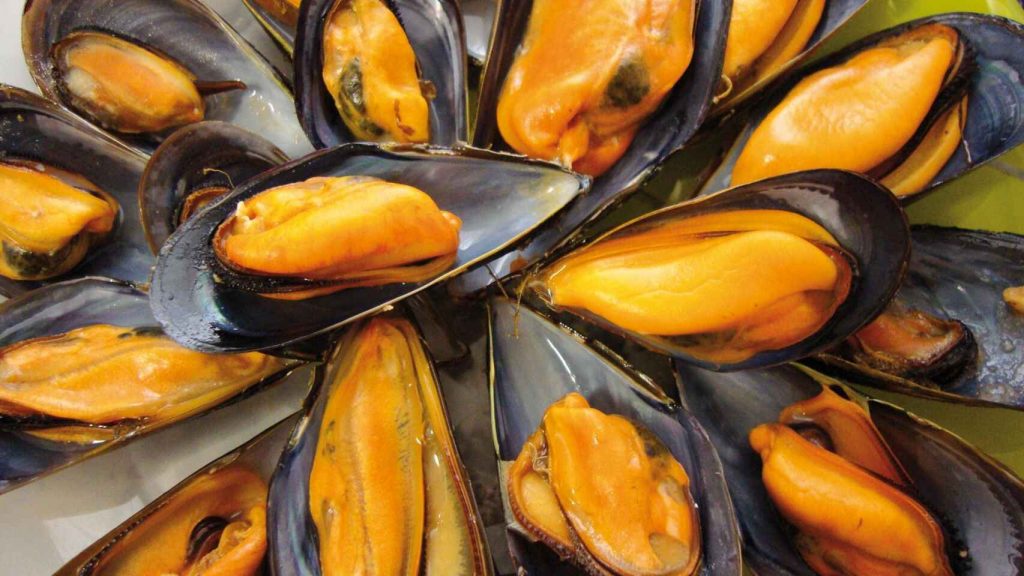 mejillones tigre