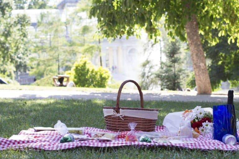 Las mejores recetas para un día de picnic en verano