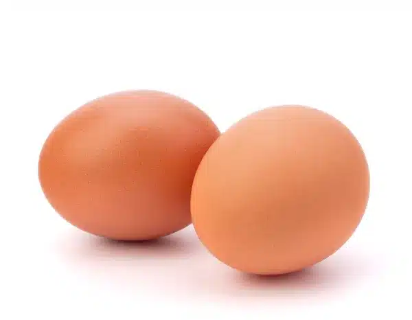tortilla