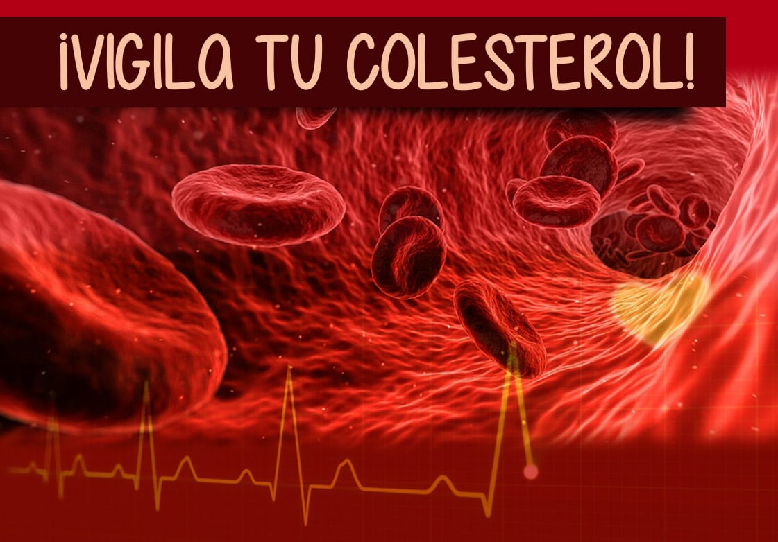 colesterol