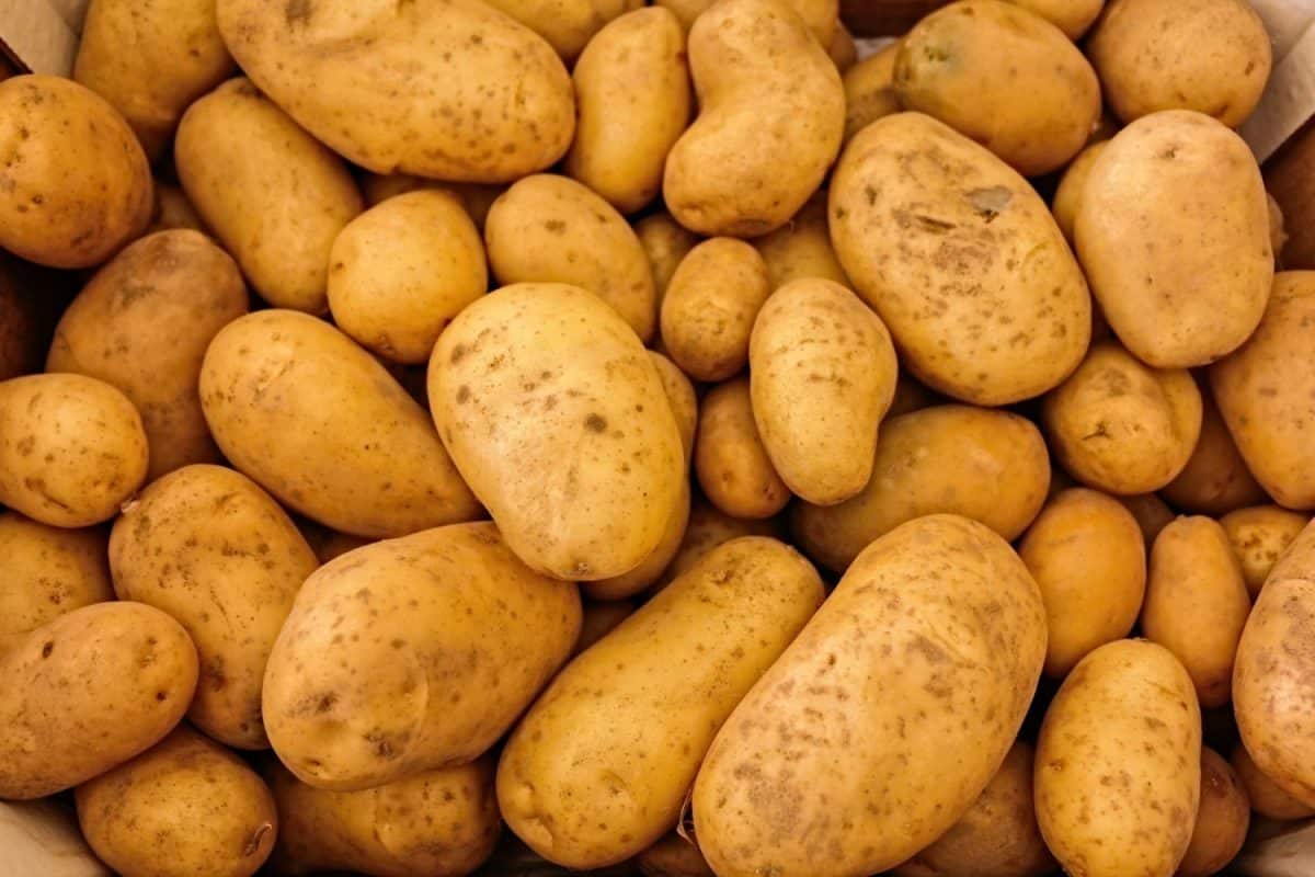 Patatas bravas: el truco de los Hermanos Torres para que estén crujientes