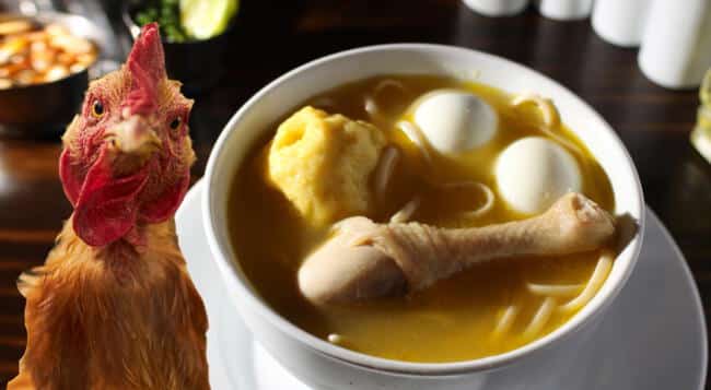 Pollo en pepitoria: la receta clásica de la abuela para gozar