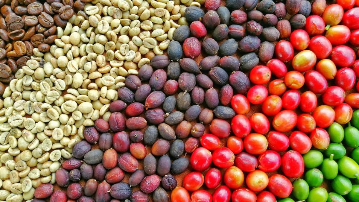 Este desayuno reduce el colesterol y alarga la vida