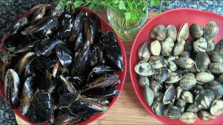 Alimentos que te ayudan a lidiar con el cansancio 