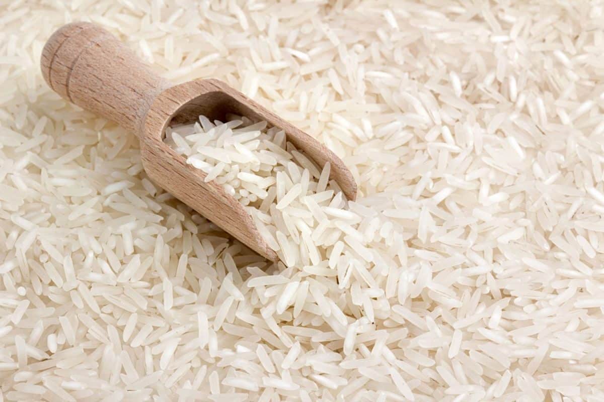 arroz