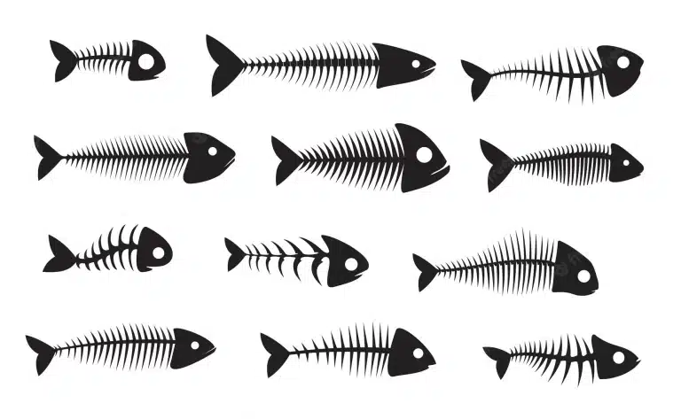 El truco maestro para quitar las espinas al pescado