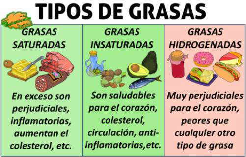 bajar el colesterol
