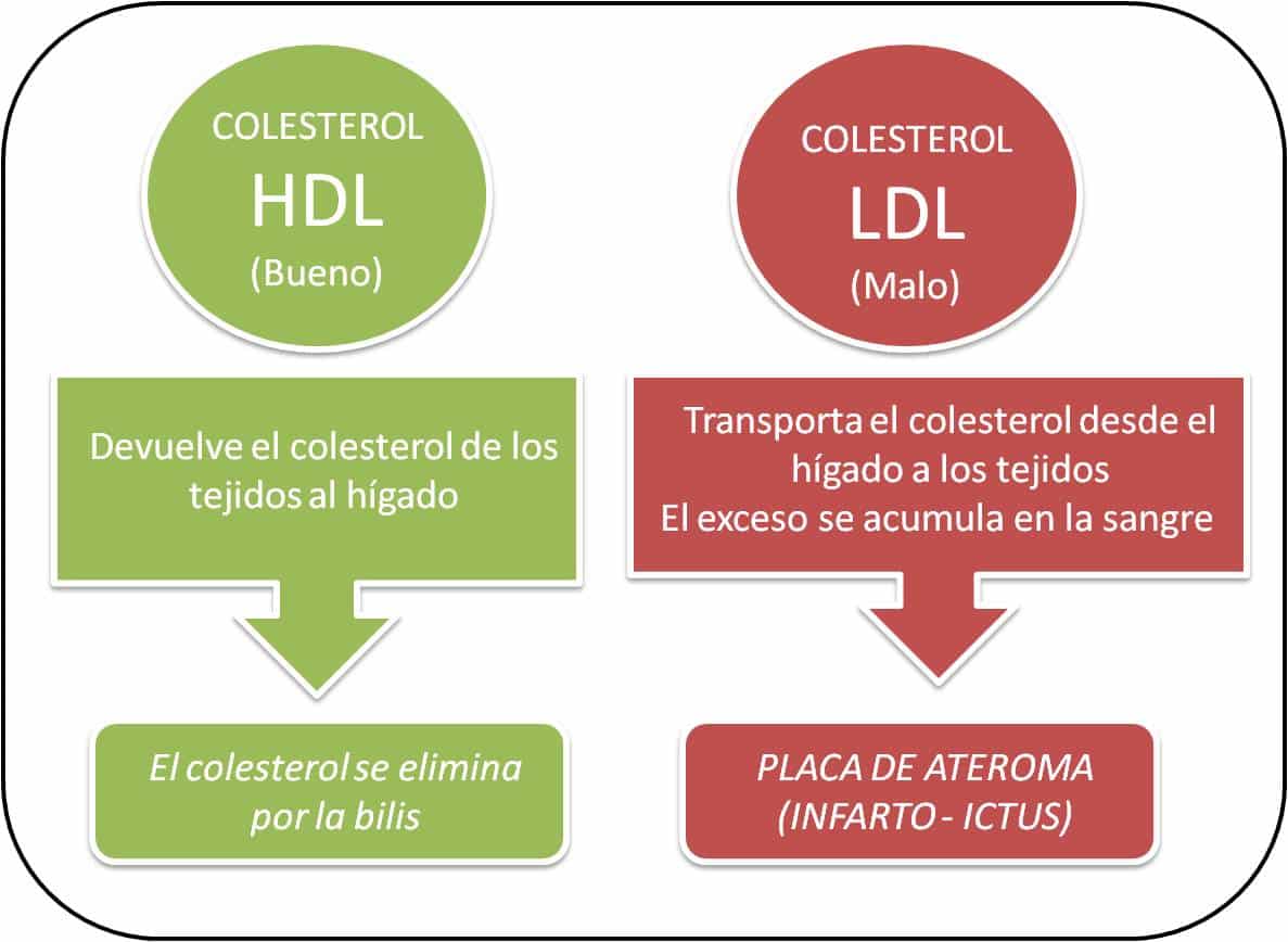 bajar el colesterol