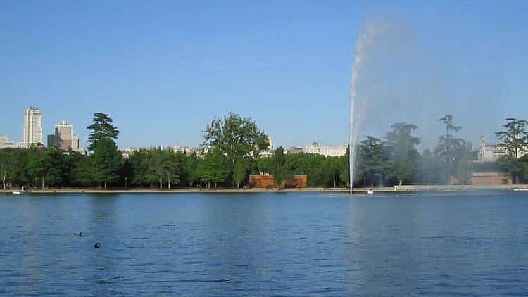Estos son los mejores parques de Madrid para ir con tu mascota