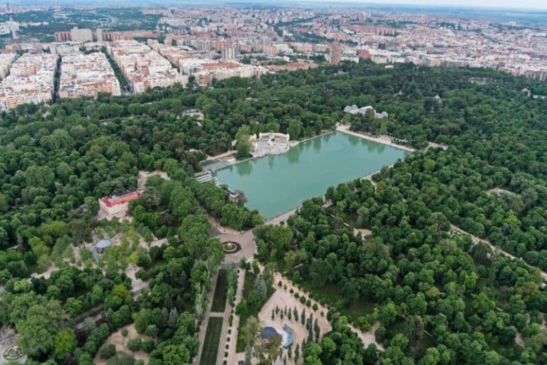 Estos son los mejores parques de Madrid para ir con tu mascota