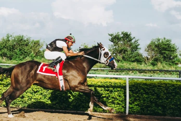 apuestas deportivas carreras de caballo