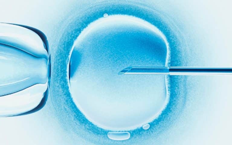 La reproducción asistida logra cada vez más embarazos