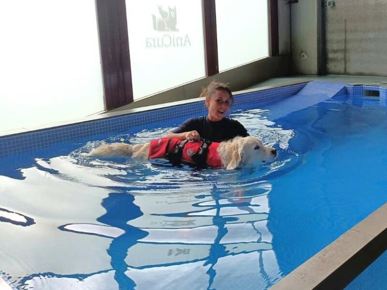 ¿Conoces el funcionamiento de un centro veterinario de alta especialización? AniCura Vetsia Hospital es pionero