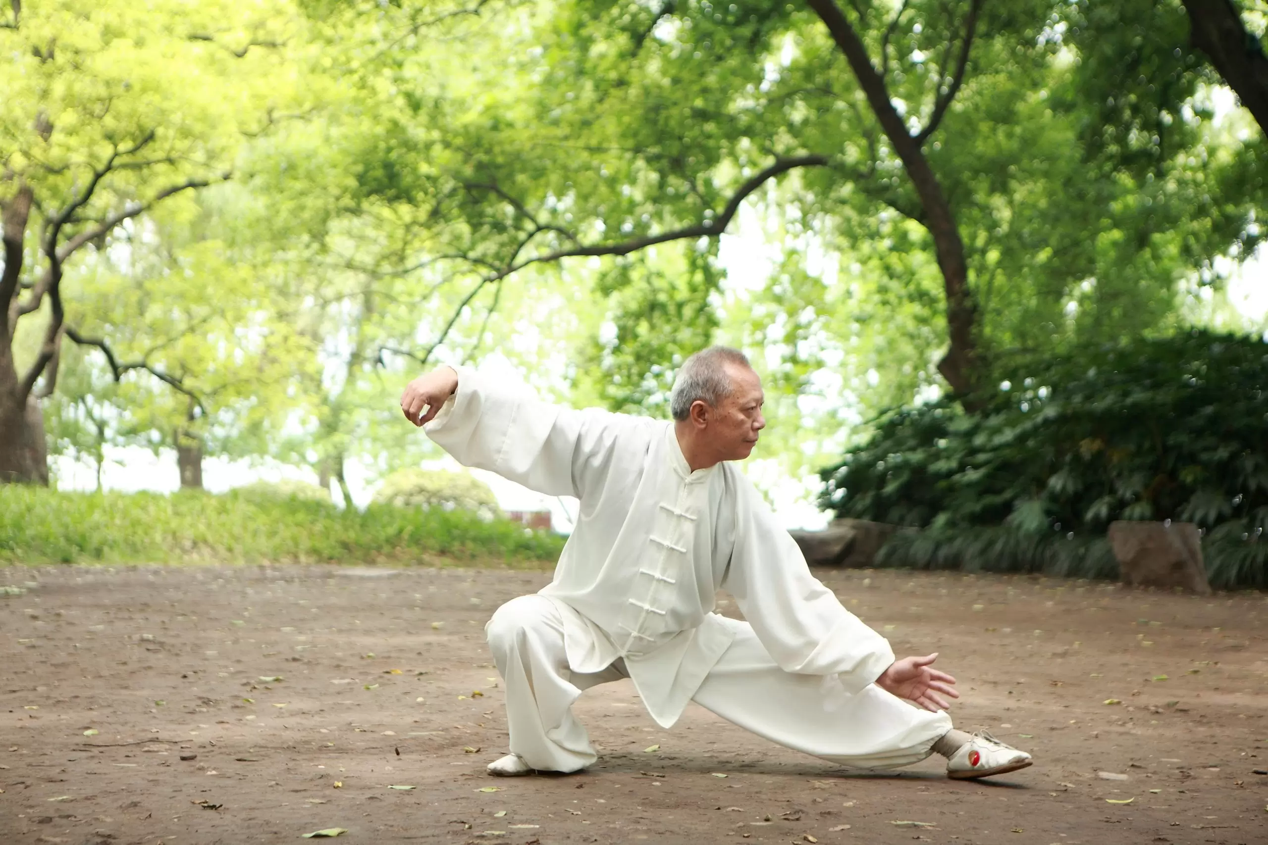 Encuentra tu calma y fuerza en el Tai Chi