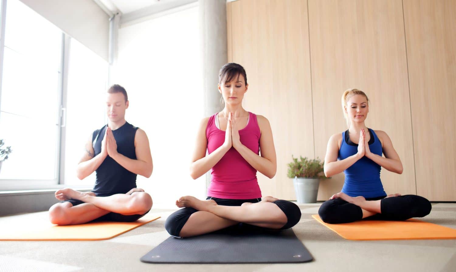 Conclusiones del Yoga y la meditación
