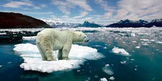Un estudio confirma que los deportes de invierno están en riesgo debido al cambio climático 