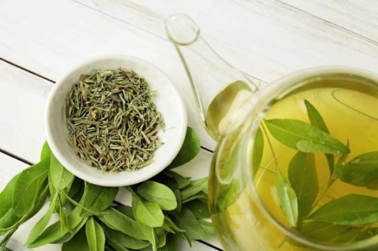 Revelamos los secretos del té verde: Un milagro para tu piel