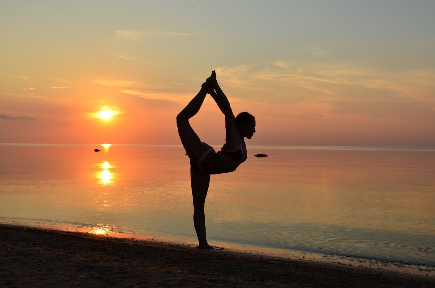 ENTRENAMIENTO ESTELAR: MOVIMIENTO Y BELLEZA