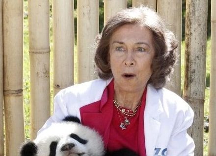 La Reina Sofía pierde a sus dos animales más queridos 50 años después