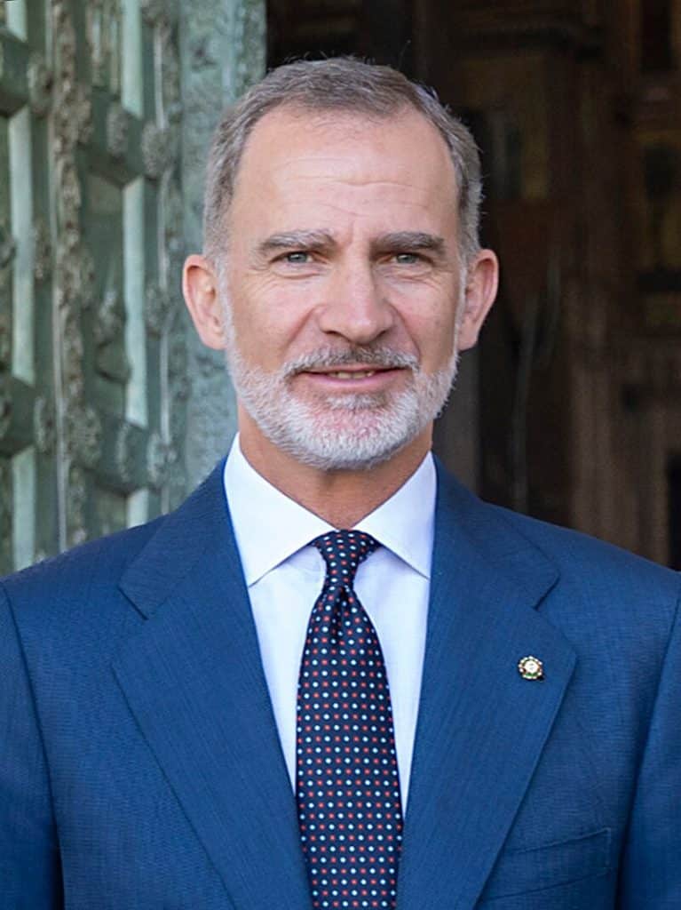 Rey Felipe VI