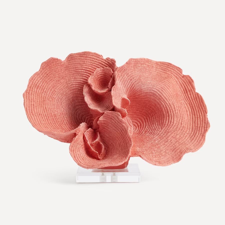 Figura Coral Fiji