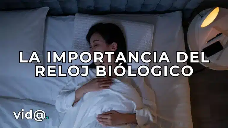 La importancia del reloj biológico para un buen sueño