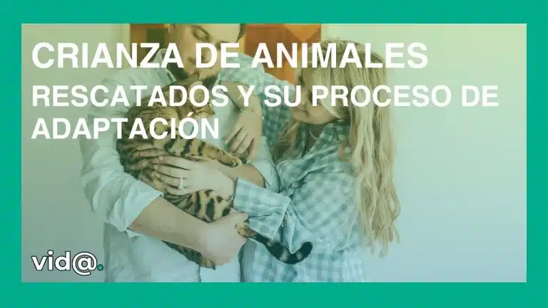 Crianza de animales rescatados y su proceso de adaptación