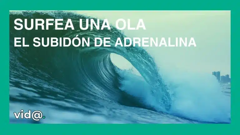 Si te apetece un subidón de emoción tienes que surfear una ola