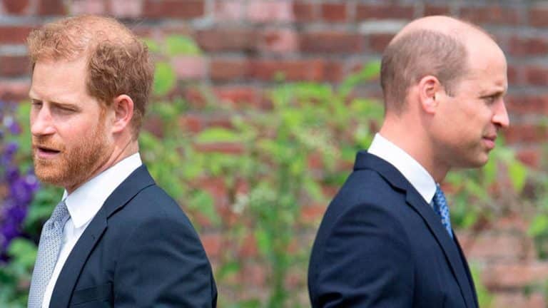 El príncipe Harry, contra el príncipe Guillermo: quién de los dos tiene más dinero